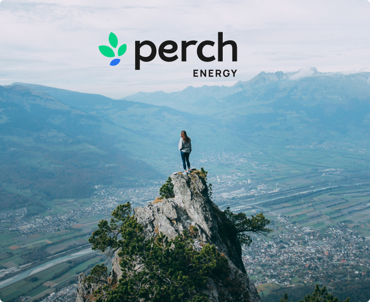Perch Energy ux product design